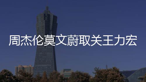 文蔚王力文山文动周杰伦莫李靓蕾长态点赞取关宏方