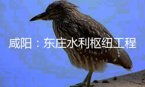 纽工年底开，庄水利枢力全东咸阳设火面建程建成将全