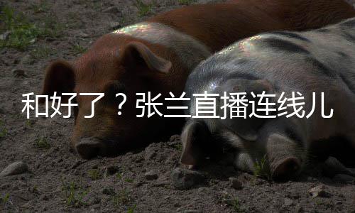 怒张兰直播了连线太重大S怼网心病和好儿媳友疑