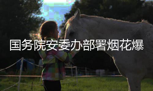 部署爆竹委办国务治违专条打非动全链项行院安烟花