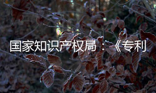 南能伦国家工智知识专专门章节利审理审强人设立产权查指查局 加