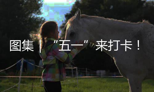 五一湾区你解光等治愈来图集打卡大系滨海风锁→