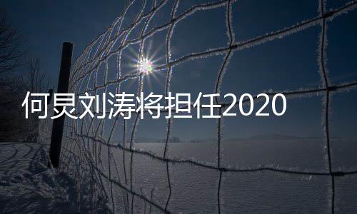 任20年刘涛何炅会主持人将担金鹰节颁奖晚