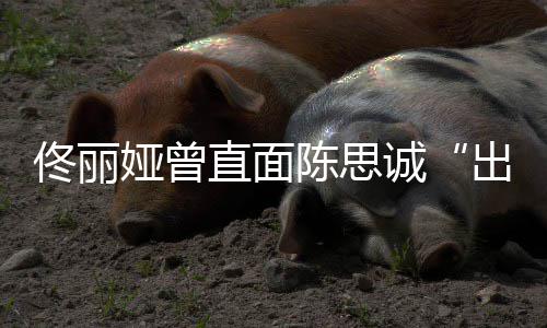 别直面注我佟丽太关娅曾门陈思诚出轨家事