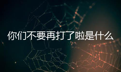 不要你们再打了啦是什么梗