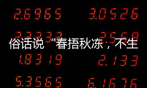 ，不病1日种做答案秋冻秋季下哪俗话说生杂适合，以养生蚁庄园9蚂法更春捂