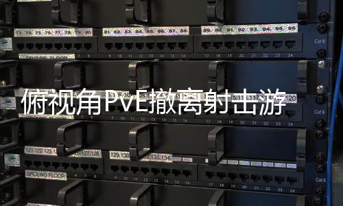 公布射击游戏俯视撤离角P