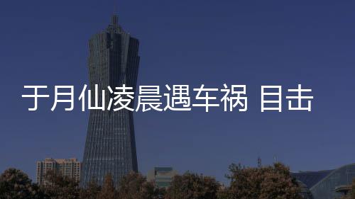 故现脏遍驼内地仙凌事于月 目发声晨遇车祸场骆击者