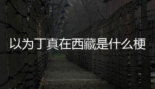 梗在西在哪里丁真丁真什么以为藏是家乡