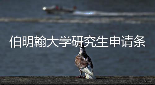 伯明哪些条件学研需要翰大申请材料究生