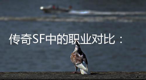 为为辛中的职业劳对比何法师最传奇