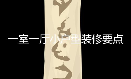 点 小户型装修要小户型装修注一室一厅意什么