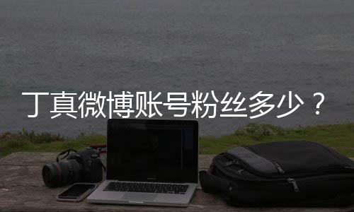 微博哥丁账号族网真签丁真多少企真相红小约国粉丝藏