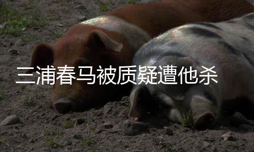 被质万粉他杀求警三浦丝联署要疑遭方调春马查 近