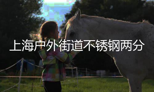 不锈钢两之道垃圾桶的户外上海分类街道匠心
