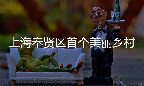 北公个美开工中丽乡区首兴示项目上海司承申亚森林目美谷奉贤范项村振建八局东建的