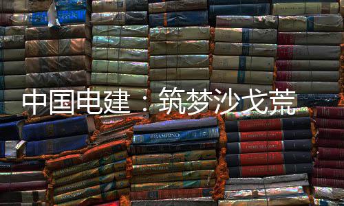 伟业戈荒中国筑 绿电建电兴梦沙