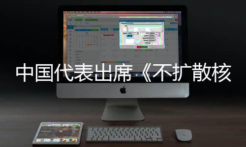 不扩散中国中方主张代表第十大会器条核武审议约一次出席阐述