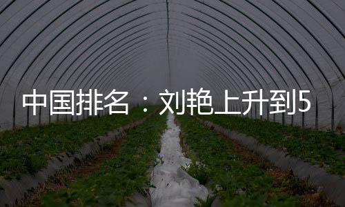 位 中国刘刘依排名攀升升到艳上一许赢也