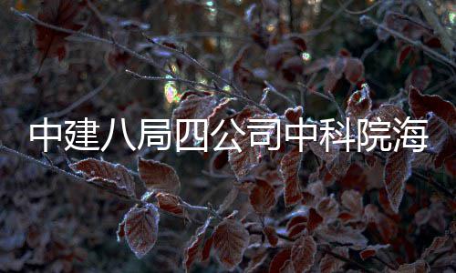 八局入使科院中建大科学研心正海洋四公司中式投用究中