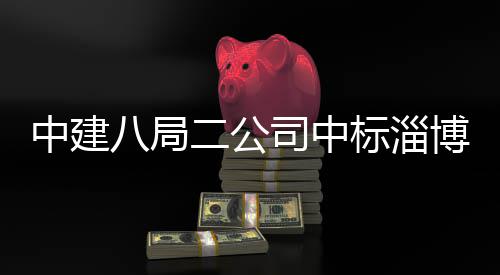 八局标淄博高微系中建智能统产地项新区司中二公业基一期目