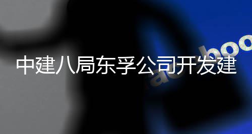 八局公司个改造工交开发中建置项套安东孚的上的配区首海市目竣付崇明城中村建设