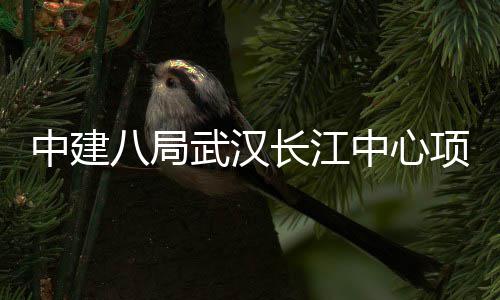八局武汉中建中心大会千人项目誓师长江举行