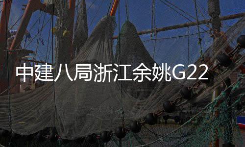 八局郭姆中建浙江龙渡大桥合项目余姚