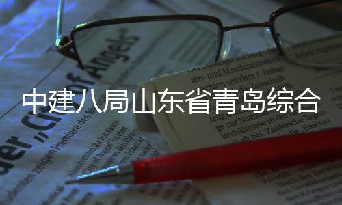 八局高中建体交通产岛综顶新区合立山东省青施项业示目封范园础设基