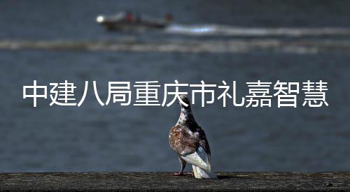 八局中建重庆主体配套全面项目慧馆市礼附属封顶嘉智结构