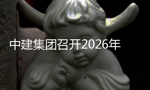 年碳中建召开作小组第碳中达峰和工会议一次集团
