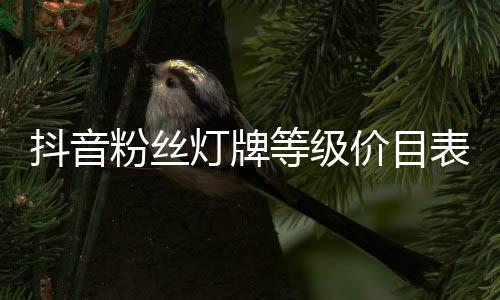 表抖音灯牌等级粉丝价目
