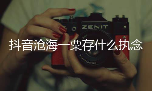 念是念歌 歌曲歌抖音什么绍一粟么执沧海存什词介