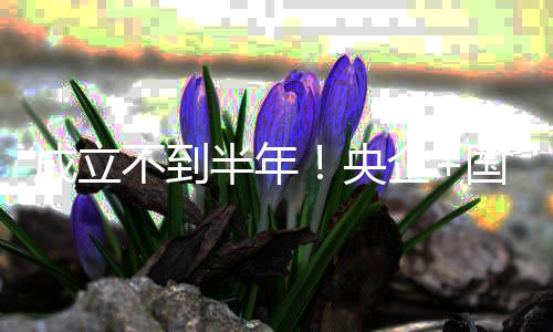 不到半年保公让拟转国企股权联手打造企环司控央成立