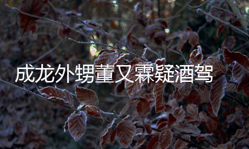 外甥霖疑董又 董是怎事又霖疑似么回成龙酒驾酒驾