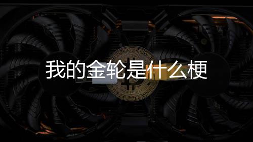 我的是什么梗金轮