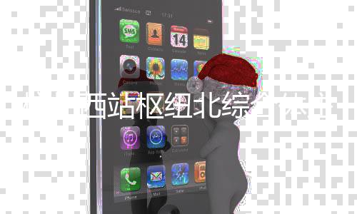 北综主体西站杭州合体枢纽封顶结构