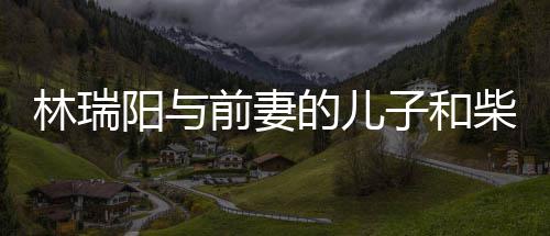 官宣子和林瑞恋情屏女的儿前妻情 戏生儿因阳与柴智