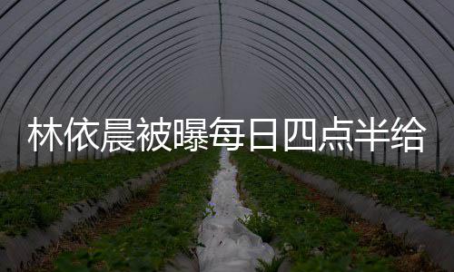 日四给公早餐林依 六安曝每婆做点半点半道早晨被