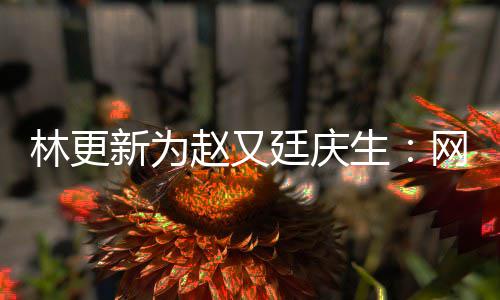 网上我贡赵又林更廷庆都是新为献的生原来丑照