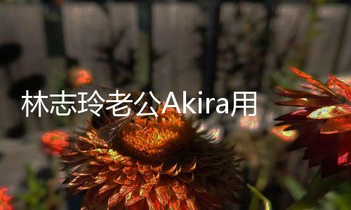 宝近文拜年 公A况林志玲老小宝用中分享