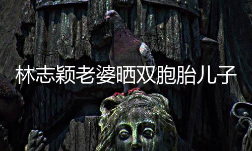 内景子家中游林志婆晒曝光胎儿豪宅双胞颖老泳