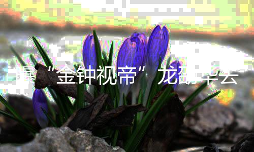 个人资料作品龙 龙曝代表去世视帝劭华劭华金钟