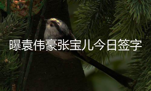 伟豪日签张宝字结暂未曝袁婚 回应双方儿今