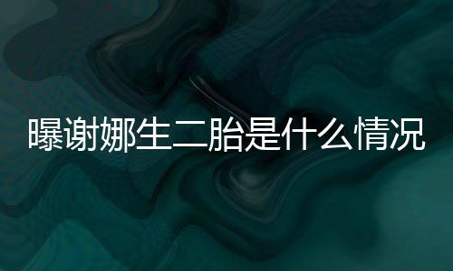 娜生况 曝谢团等官宣是什二胎一切么情粉丝