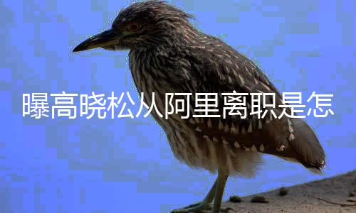高职是怎么在阿职位里离里是曝高晓松晓松回事什么从阿