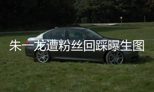 朱一朱一怎么龙遭龙粉曝生图 回踩回事丝回粉丝踩是