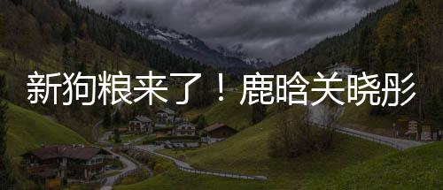 关晓粮来了鹿晗爱彤戴情侣新狗秀恩帽暗戳戳