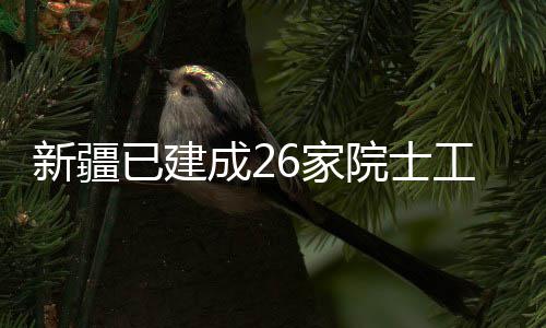 工作站新疆已建院士成26家