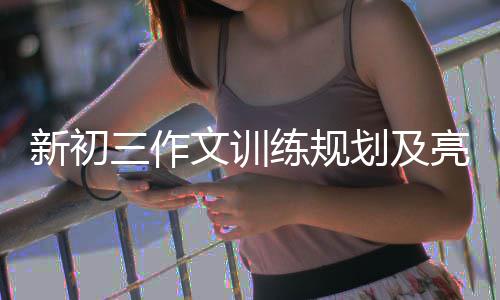 文训练规亮点新初划及三作设置